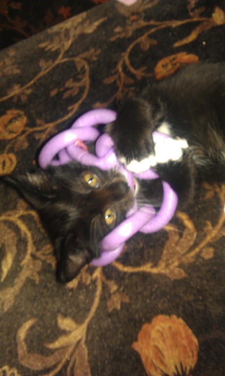 Наши игры и занятия ни из чего)