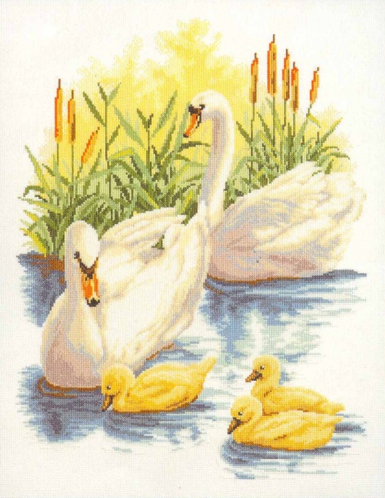 Ищу семью лебедей!