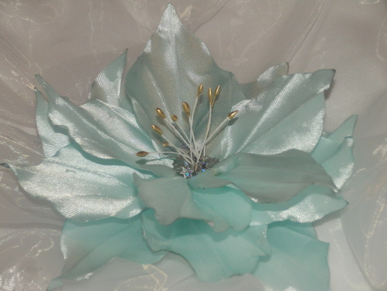 Первая лилия!