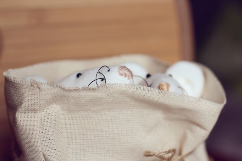 Неразлучная парочка.