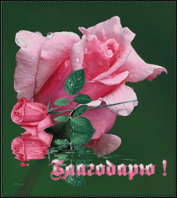 794dcea44c993ec28f1ff6b934044d9a.jpg