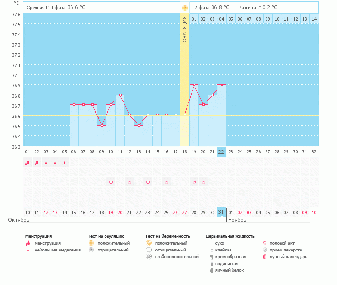 Отчет по тыквенному эксперименту.