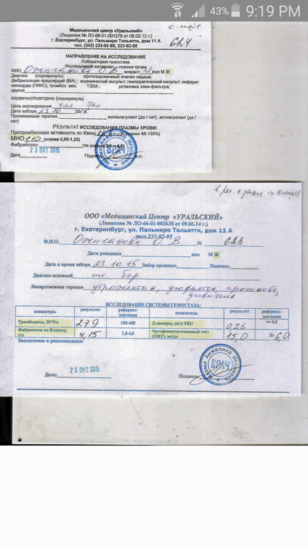 криопротокол на згт успешности конечно же
