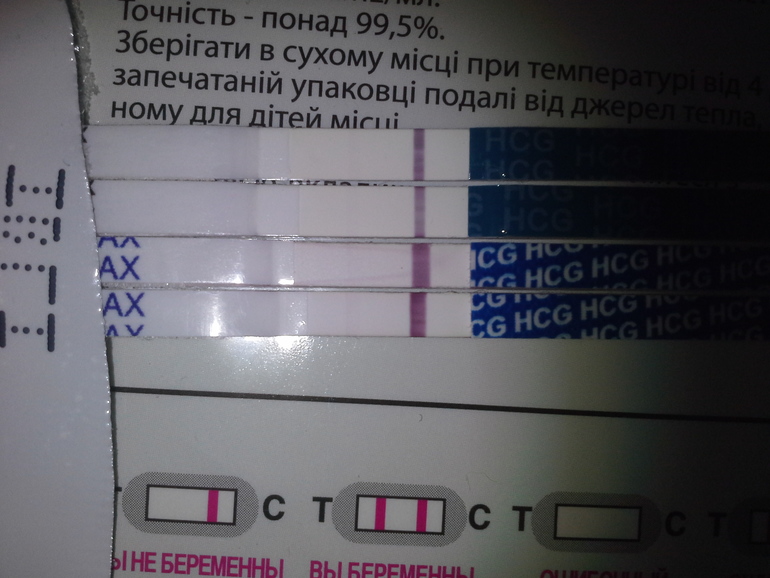 7773f6ba692a6ff7b332b9e834fa5e03.jpg