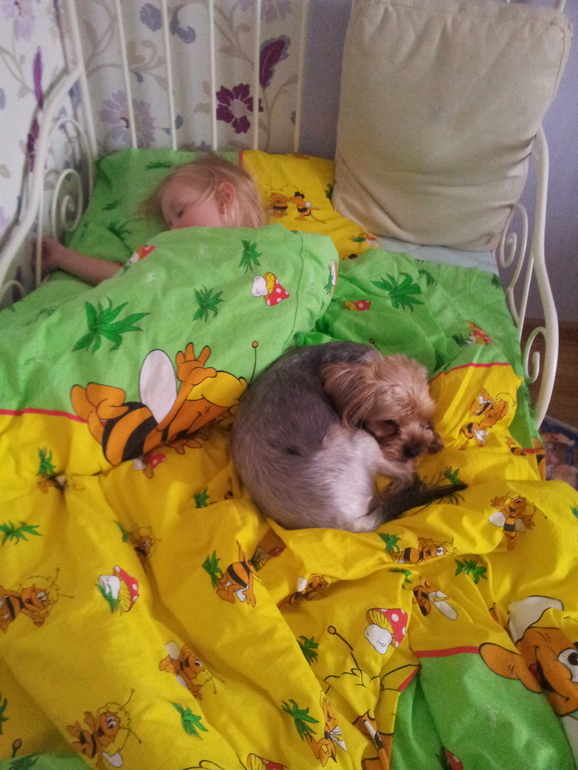 Совместно-раздельный сон