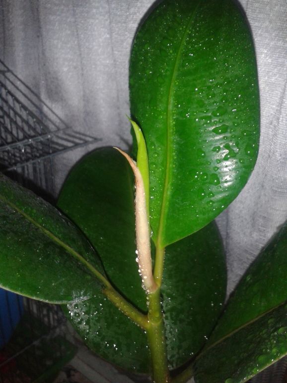 Мои приметки к новому циклу)))