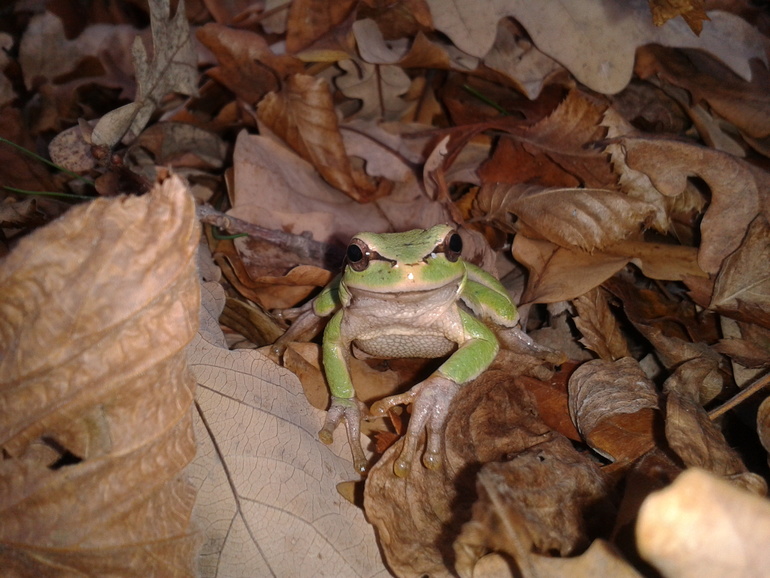Мои приметки к новому циклу)))
