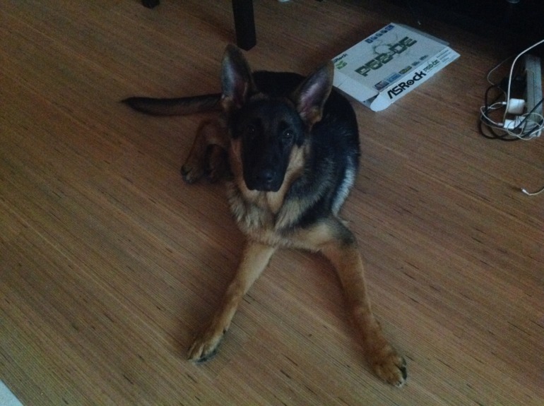 Стал/был.вымахал мальчишка))