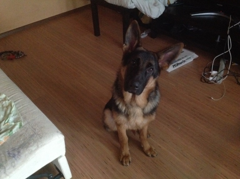 Стал/был.вымахал мальчишка))