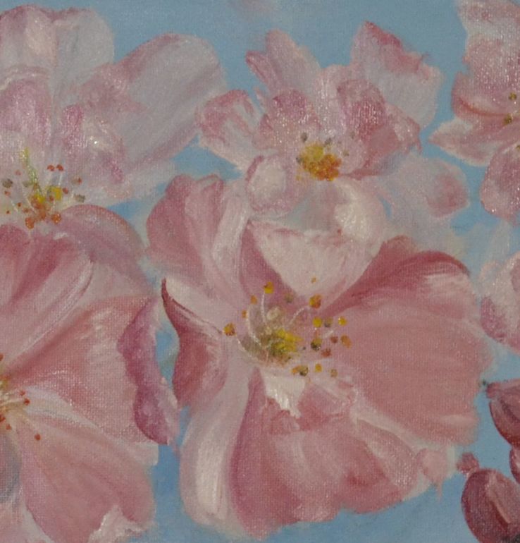 Нужна ваша помощь!