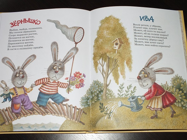 Книжные пополнения ноября