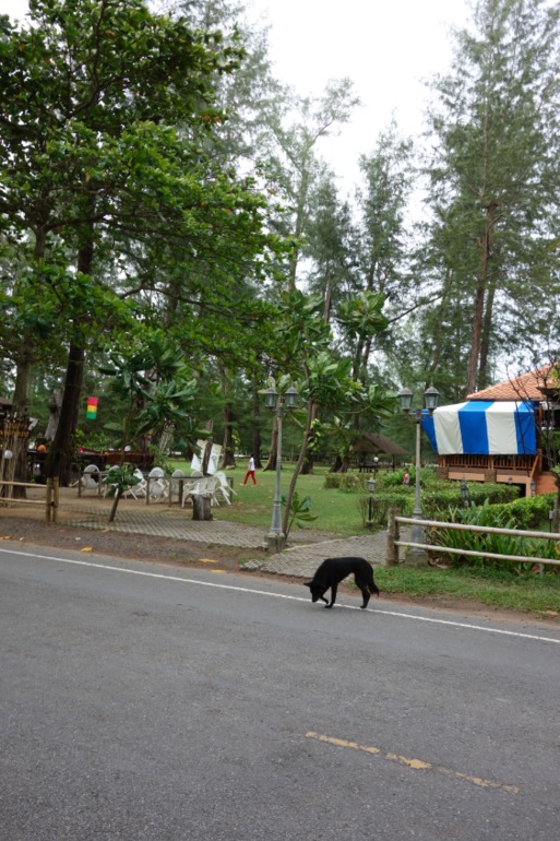 Москва-Бангкок-Пхукет-Самуи-Пхукет-Бангкок-Москва (много фото)