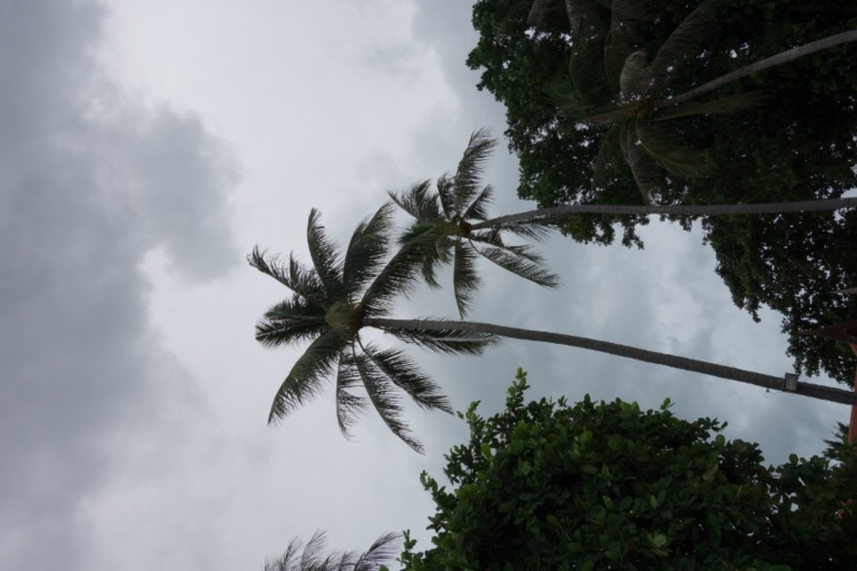 Москва-Бангкок-Пхукет-Самуи-Пхукет-Бангкок-Москва (много фото)