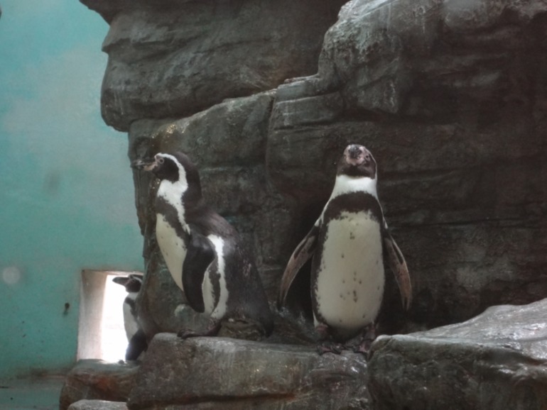 Отдых в Праге. День третий