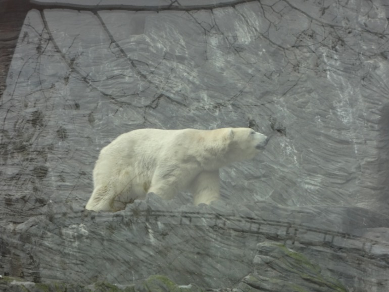 Отдых в Праге. День третий
