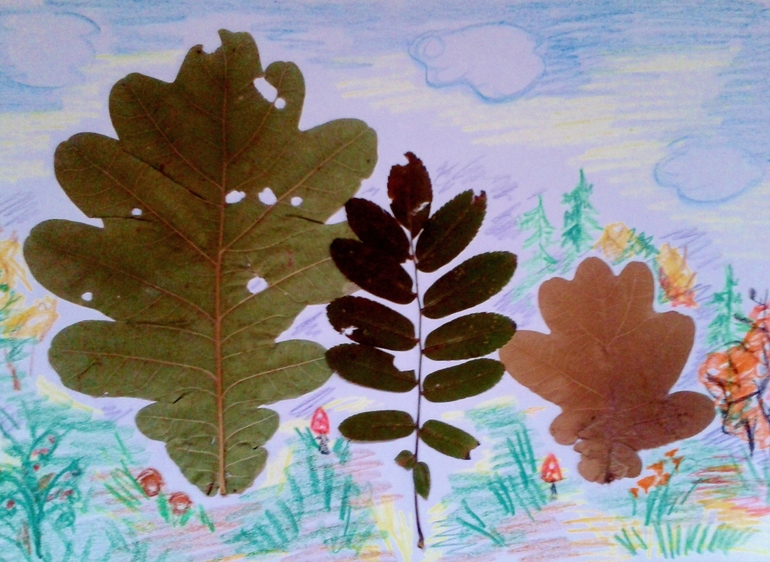 наш семейный гербарий ))