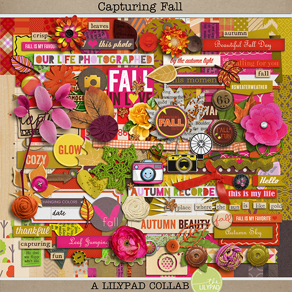 3 Freebie + alpha+ washi tape