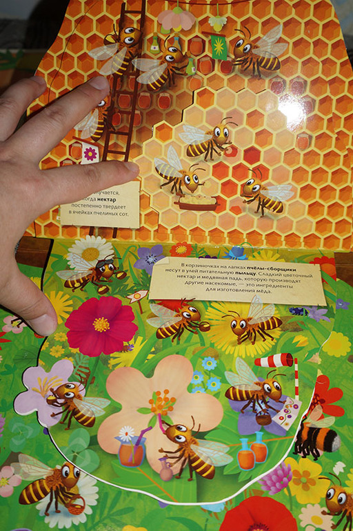 Вещь пчелы. Игра с муравьями и пчелами. Настольная игра пчелы. Настольная игра муравьи и пчела. Настольные игры Шуша пчелы и муравей.