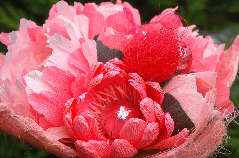 Солнце вышло на пять минут))) сфоткала все что можно))