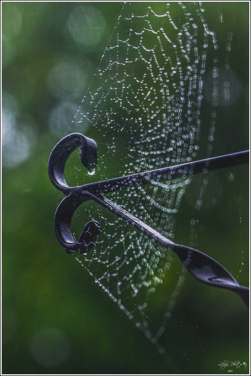 несколько фотографий