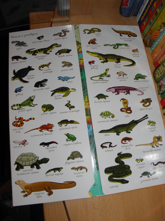 ВОТ ЧТО НАМ ПОДАРИЛИ НА 3 ГОДА!