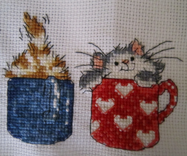 Котики в кружках