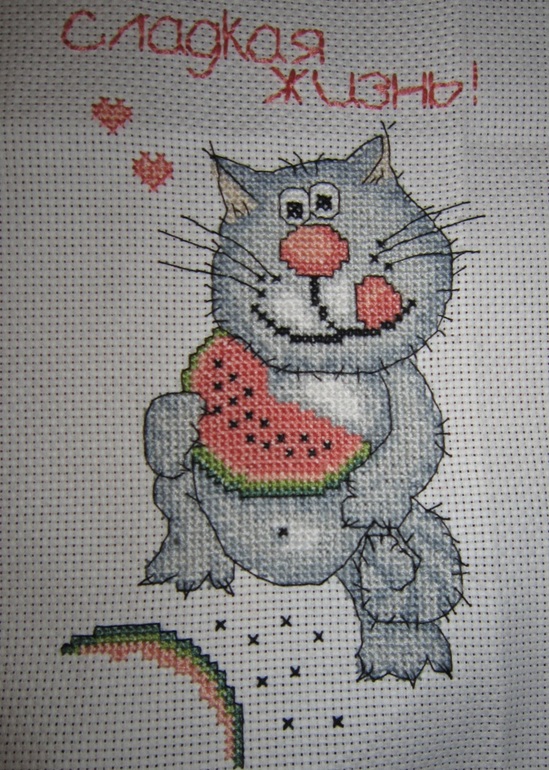 коты и сладкая жизнь =)