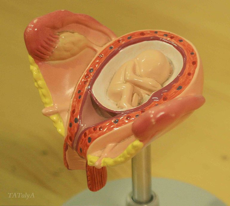 Экспериментаниум (часть 2).