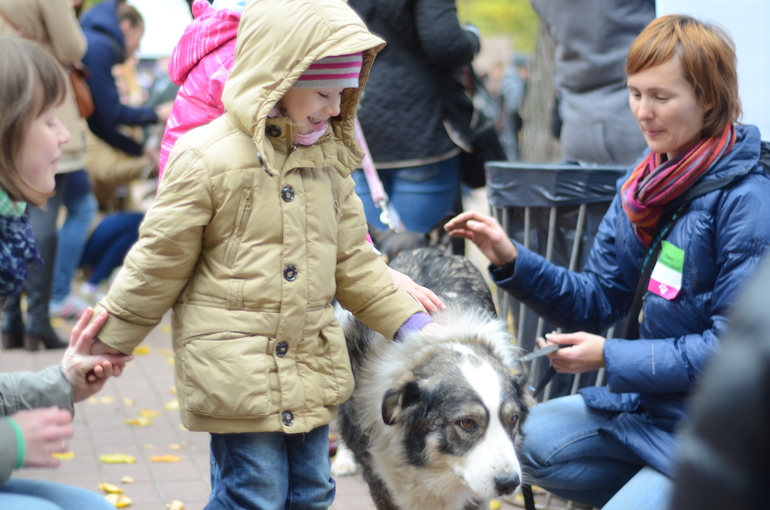 Выставка-ярмарка брошенных животных в парке им.Горького