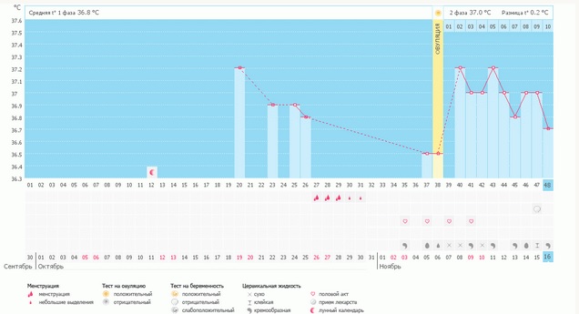 С таким графиком только М ждать?
