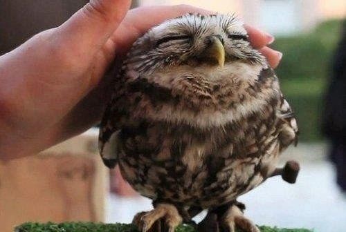 Поднимаю настроение, подручными средствами.