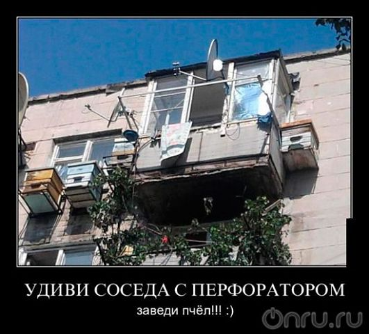 1b0a2a9f7bf56d5942c85a60db5be12a.jpg