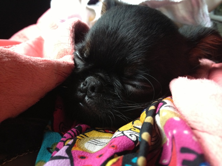 Лучший мой подарочек, это ты. Или, как звать величать будем???