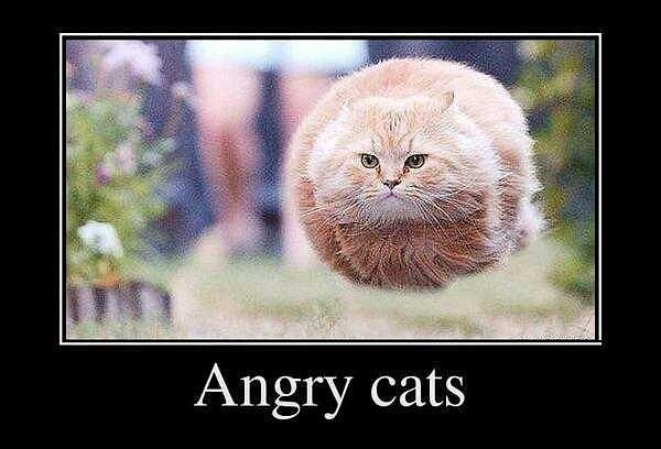 Поднимаю настроение, подручными средствами.