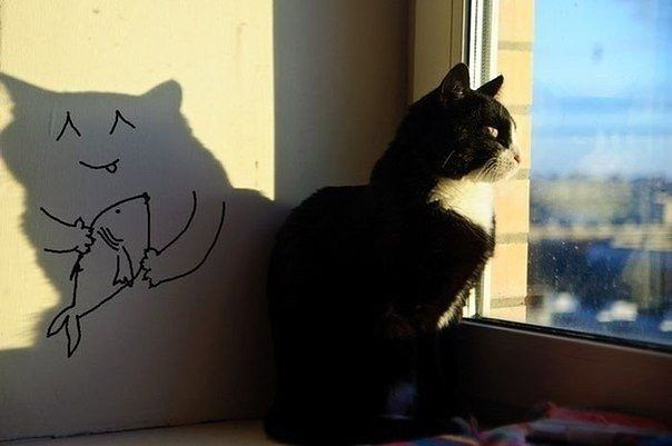 Мяу, гав и многое-многое другое:)