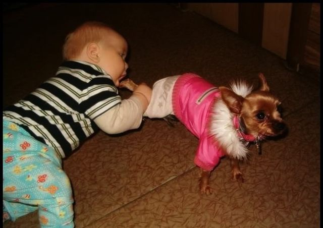 Мяу, гав и многое-многое другое:)