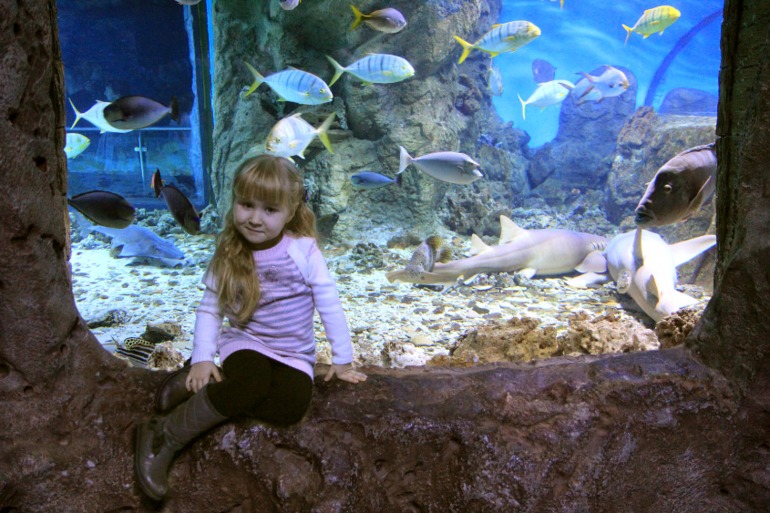 Океанариум в Москве