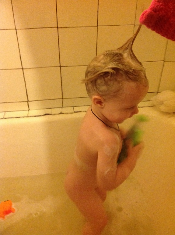 Наш примерный распорядок дня.Я и мои цыплята