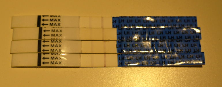 Помогите разобраться с тестом на овуляцию