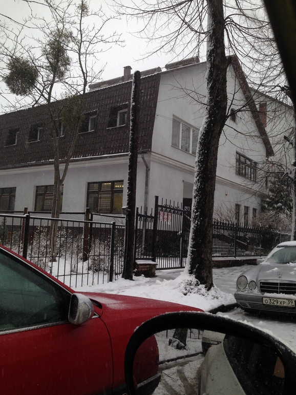 Сходили в сад на разведку