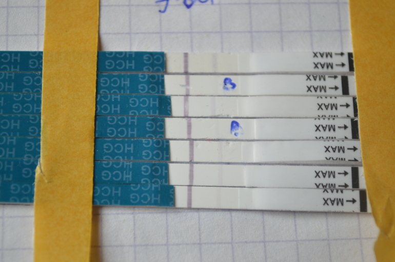 d68af040f2024345efefdbf928757df1.jpg
