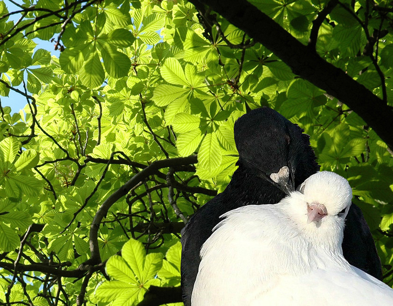 Урок № 2. "Вырезаем объект"