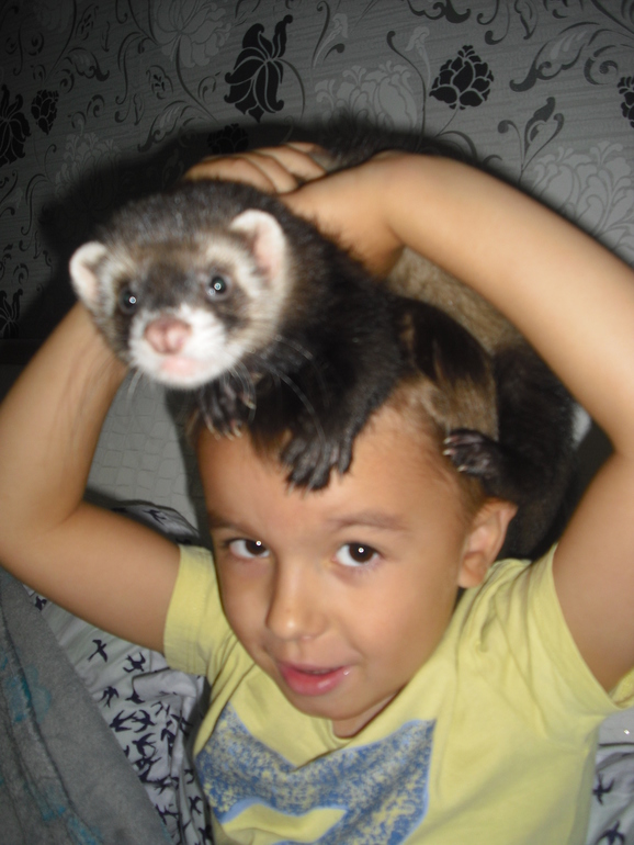 Мои сладкие шалуны !