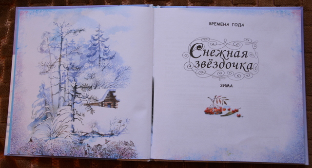 Снежная Звездочка