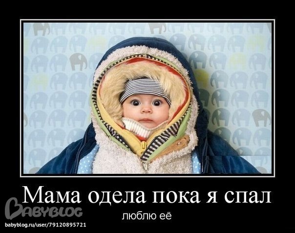 e6c26ce4b1c3a6f488836a3b0fa58402.jpg
