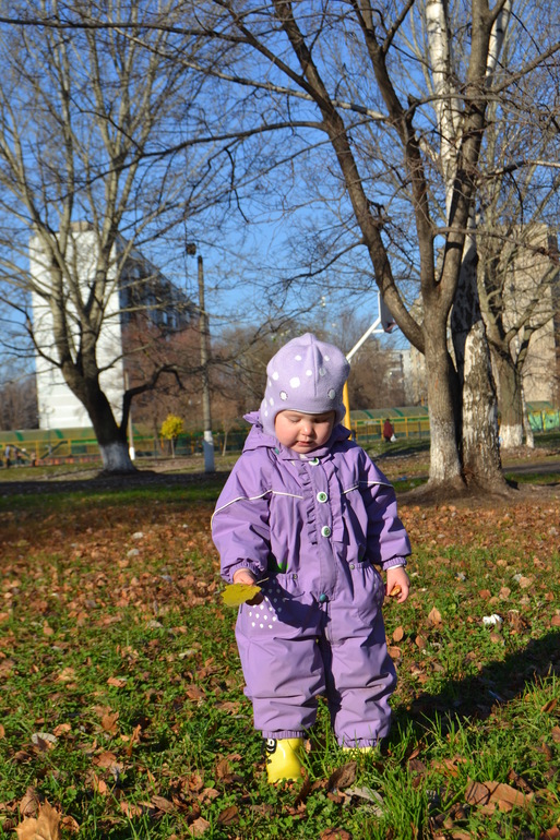 Наша запоздалая Осень!!!