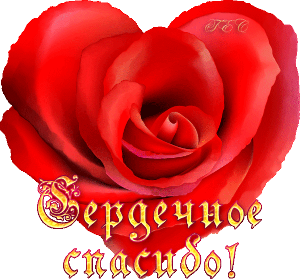 8fc3aa5f4a3cd979d78f042a8279217a.gif