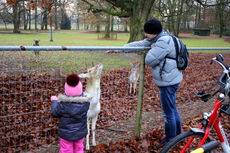 Nederland.  город Wageningen.  и парк Efteling