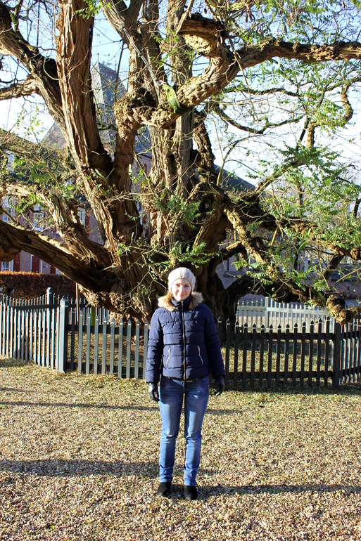 Nederland.  город Wageningen.  и парк Efteling