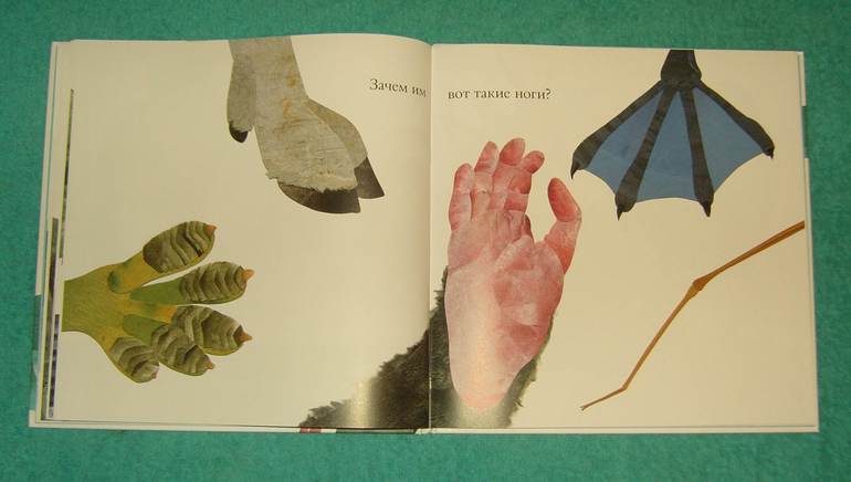 Про хвосты,носы и уши.Интересные факты.